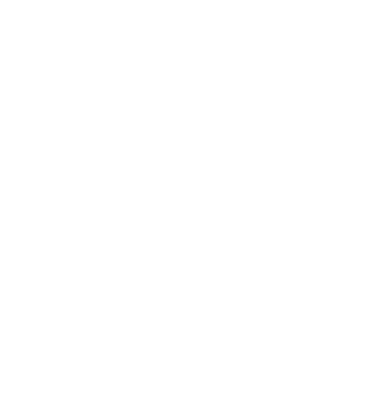 Dansk Squash Logo
